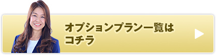 オプションプラン一覧はコチラ